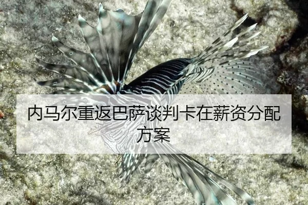 nei-ma-er-chong-fan-ba-sa-tan-pan-ka-zai-xin-zi-fen-pei-fang-an-3-875.jpg
